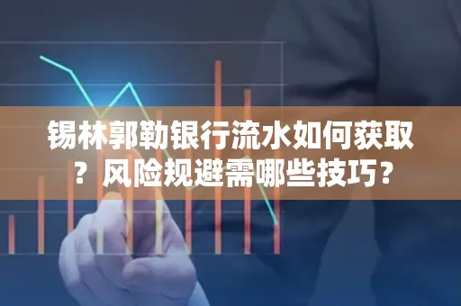 锡林郭勒银行流水如何获取?风险规避需哪些技巧?
