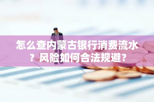 怎么查内蒙古银行消费流水?风险如何合法规避?
