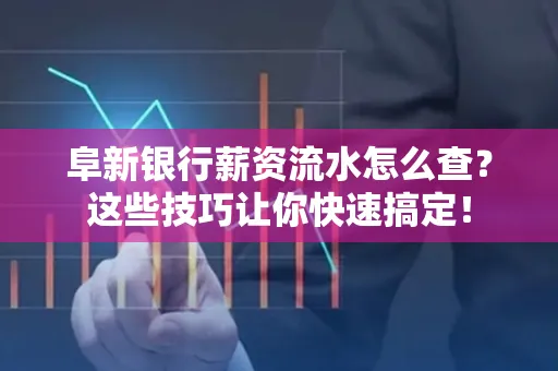 阜新银行薪资流水怎么查?这些技巧让你快速搞定!