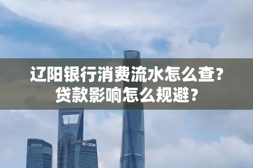 辽阳银行消费流水怎么查？贷款影响怎么规避？