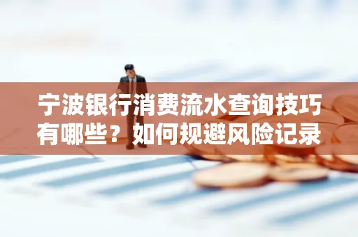 宁波银行消费流水查询技巧有哪些?如何规避风险记录?