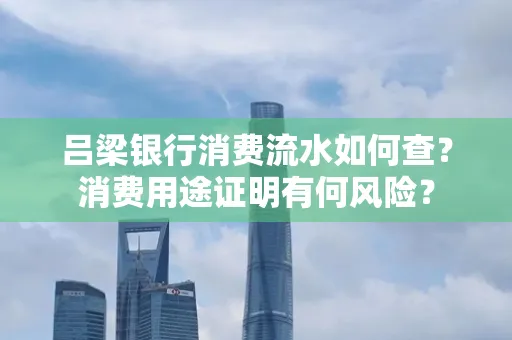 吕梁银行消费流水如何查?消费用途证明有何风险?