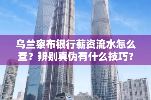 乌兰察布银行薪资流水怎么查?辨别真伪有什么技巧?