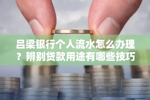 吕梁银行个人流水怎么办理?辨别贷款用途有哪些技巧?