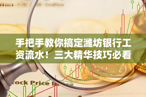手把手教你搞定潍坊银行工资流水!三大精华技巧必看