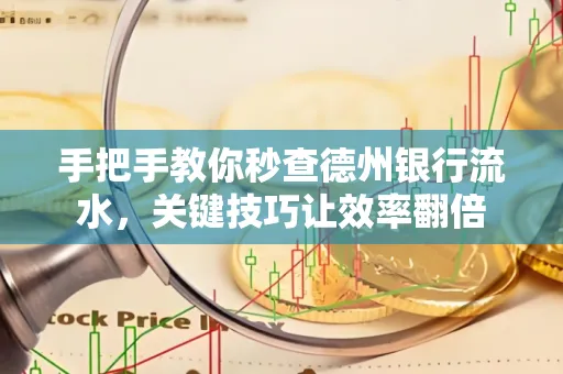 手把手教你秒查德州银行流水,关键技巧让效率翻倍