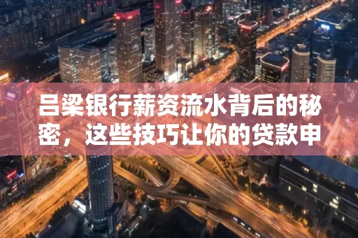 吕梁银行薪资流水背后的秘密,这些技巧让你的贷款申请快人一步