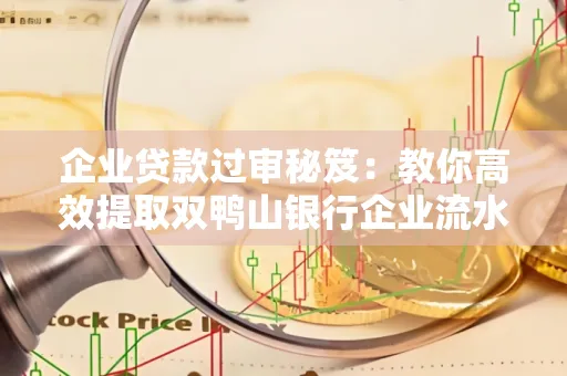 企业贷款过审秘笈:教你高效提取双鸭山银行企业流水