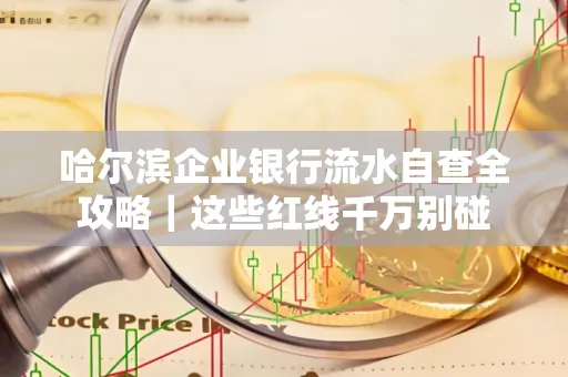 哈尔滨企业银行流水自查全攻略|这些红线千万别碰