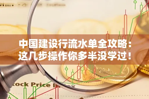 中国建设行流水单全攻略:这几步操作你多半没学过!