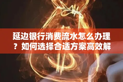 延边银行消费流水怎么办理?如何选择合适方案高效解决?