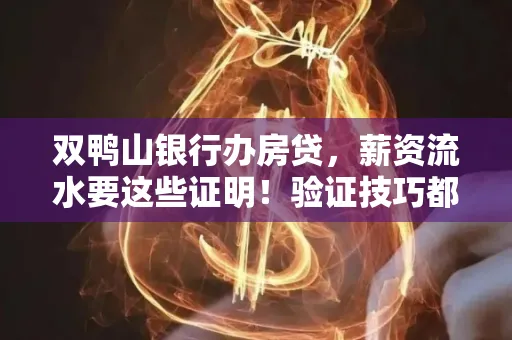 双鸭山银行办房贷，薪资流水要这些证明！验证技巧都在这里！