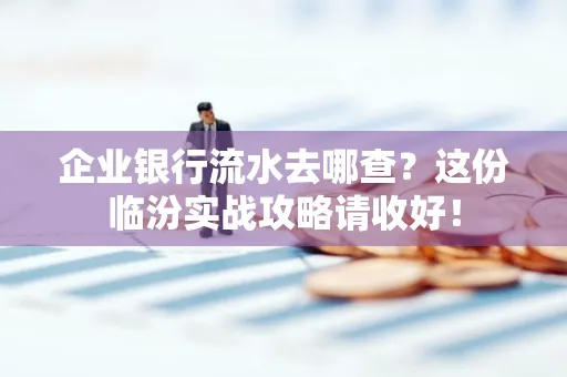 企业银行流水去哪查？这份临汾实战攻略请收好！