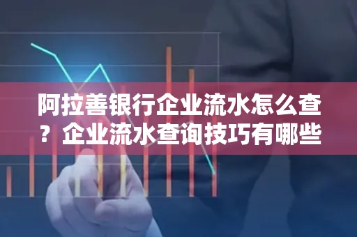 阿拉善银行企业流水怎么查?企业流水查询技巧有哪些?