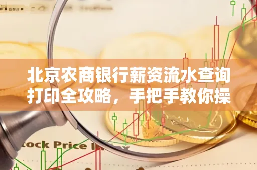北京农商银行薪资流水查询打印全攻略,手把手教你操作