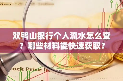 双鸭山银行个人流水怎么查?哪些材料能快速获取?