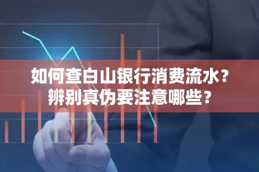 如何查白山银行消费流水?辨别真伪要注意哪些?