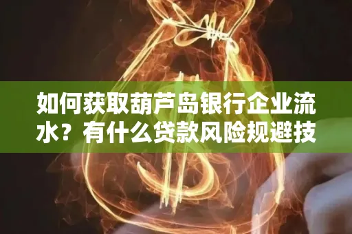 如何获取葫芦岛银行企业流水?有什么贷款风险规避技巧?