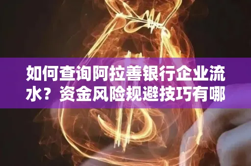 如何查询阿拉善银行企业流水?资金风险规避技巧有哪些?