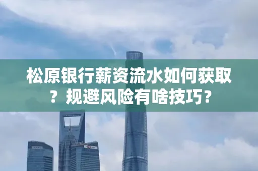 松原银行薪资流水如何获取?规避风险有啥技巧?