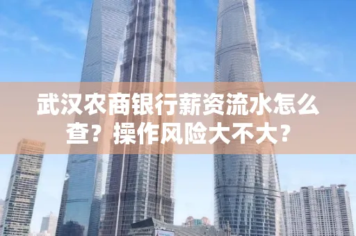 武汉农商银行薪资流水怎么查?操作风险大不大?