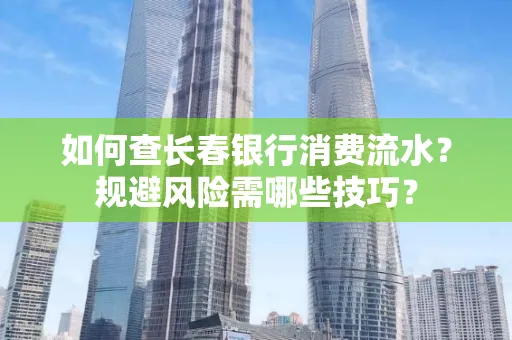 如何查长春银行消费流水?规避风险需哪些技巧?