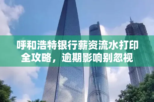 呼和浩特银行薪资流水打印全攻略,逾期影响别忽视